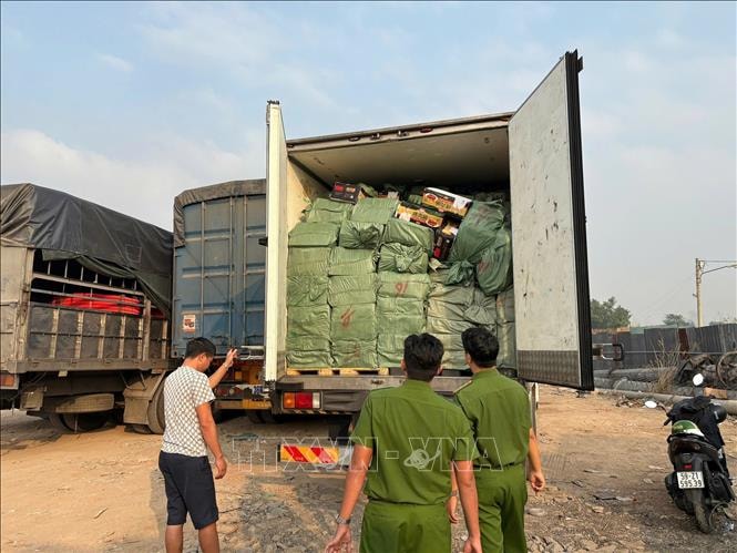 Tạm giữ hơn 28,8 tấn thực phẩm đông lạnh không rõ nguồn gốc
