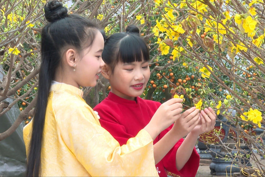 Rộn ràng chợ hoa đường Trường Chinh ngày Tết