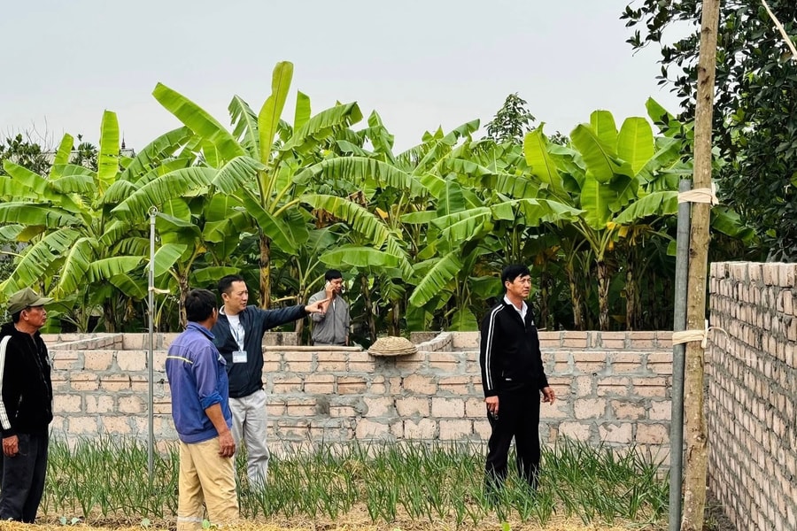 Phường Nhị Chiểu công bố 6 số điện thoại đường dây nóng về đất đai, môi trường dịp Tết Bính Ngọ