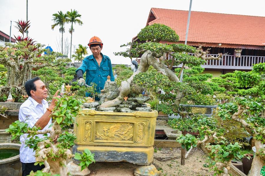 Độc đáo vườn cây cảnh di sản văn hoá vật thể ở Hải Phòng