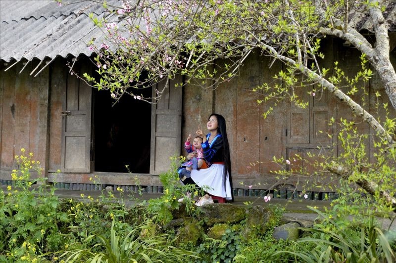 Mưa gọi xuân