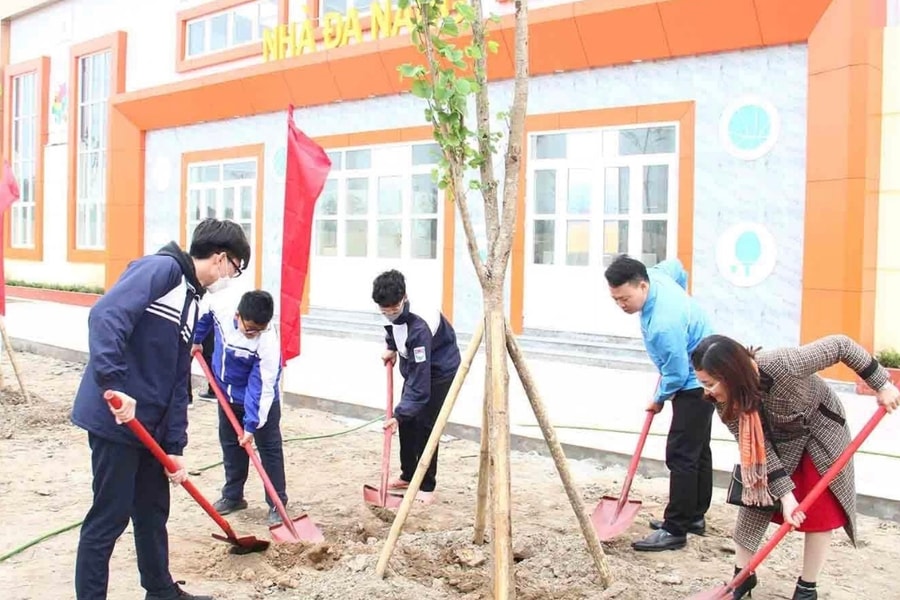 Hai Phong to plant 200,000 trees in Spring 2026