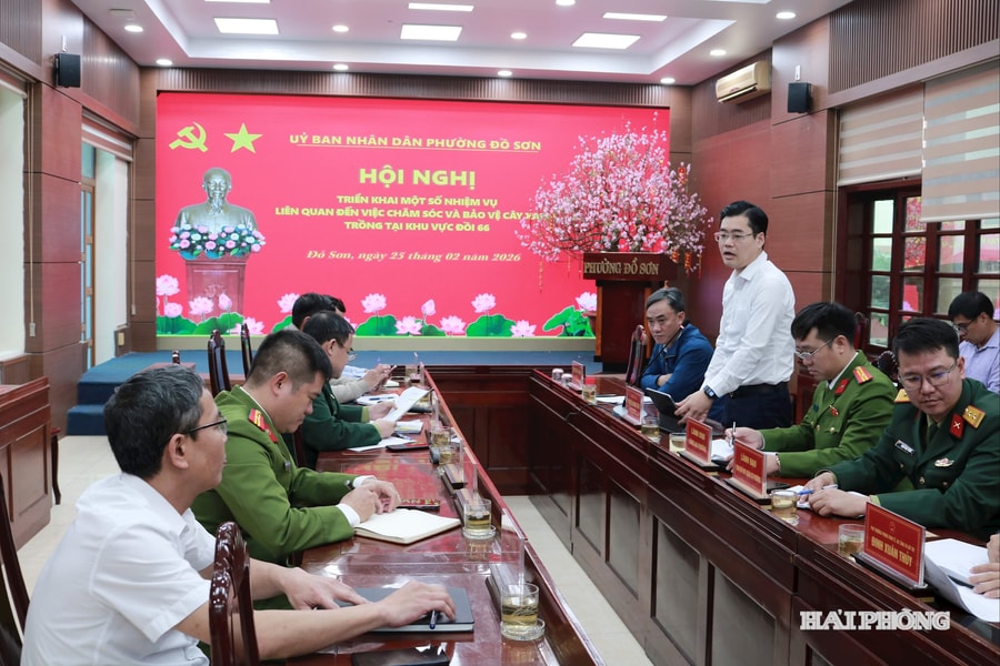 Phường Đồ Sơn phấn đấu phủ xanh toàn bộ đồi, núi đang trống do bão Yagi
