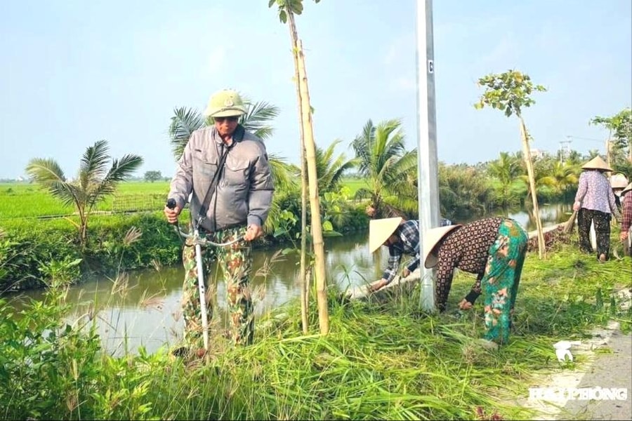 Nông dân vun xanh đường làng, làm giàu bền vững