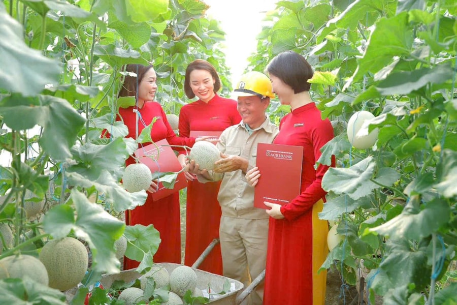 Agribank Hải Phòng vững bước tiên phong