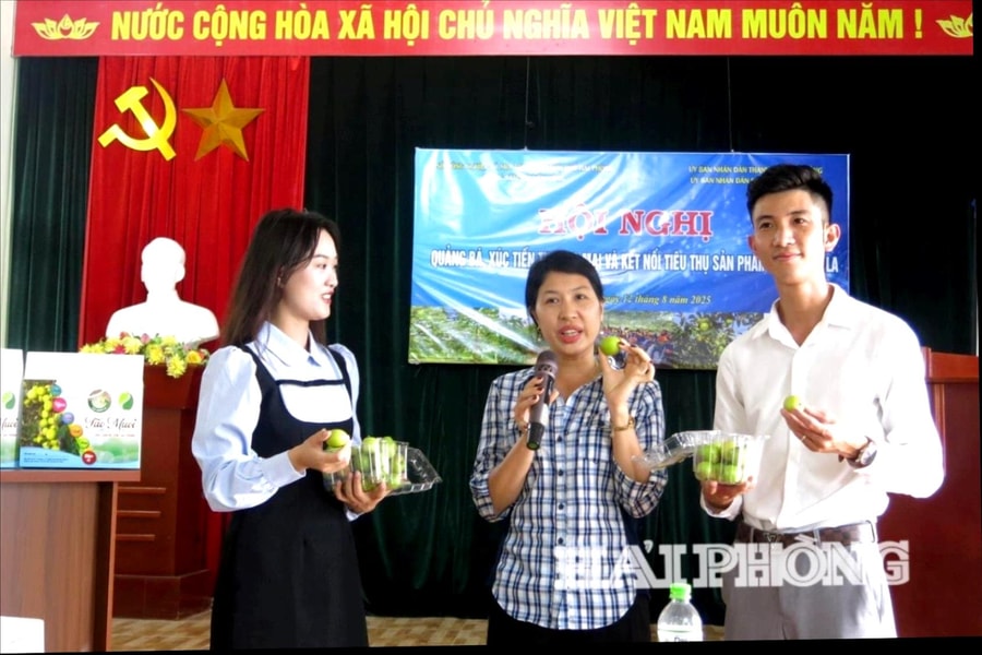 Phụ nữ đưa đặc sản quê 'lên sàn', mở rộng thị trường số
