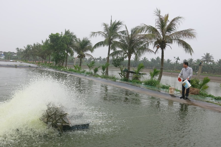 Chấn Hưng khai thác lợi thế bãi bồi ven sông, biển