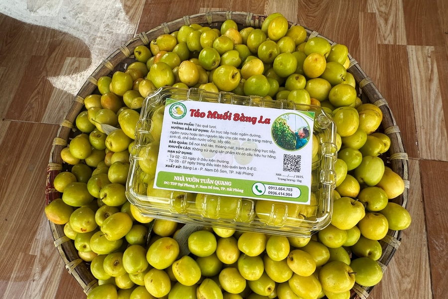 Táo Bàng La đạt chứng nhận OCOP 3 sao