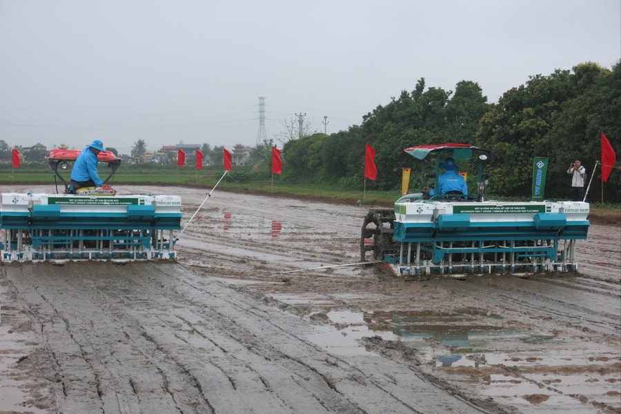 Hải Phòng phấn đấu đến năm 2035 giảm ít nhất 10 - 15% phát thải khí nhà kính trong lĩnh vực trồng trọt