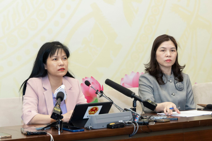 Hơn 80% số cử tri cả nước đã tham gia bỏ phiếu bầu cử