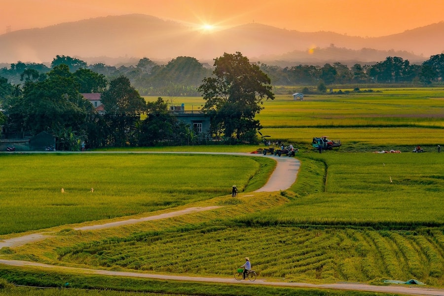 Người về trong tiết thanh minh