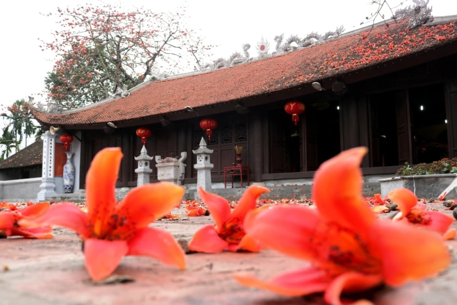 Tháng ba hoa gạo