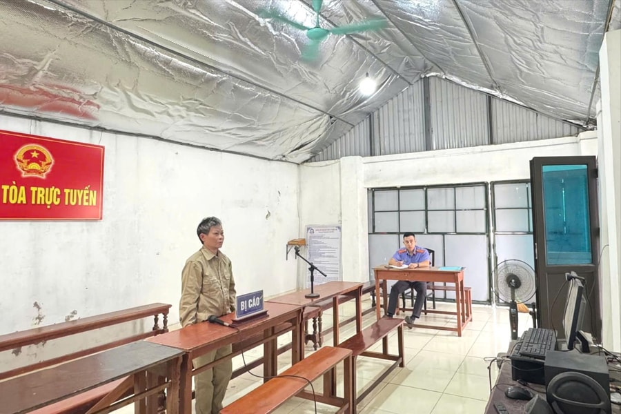 Vận chuyển ma túy thuê, một phụ nữ lĩnh án nặng