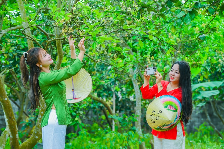 Lạc bước giữa hương bưởi Hà Đông