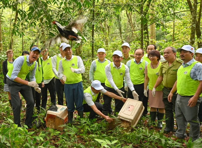 Vườn quốc gia Cúc Phương sẽ trở thành 'ngân hàng gen' tự nhiên vào năm 2050