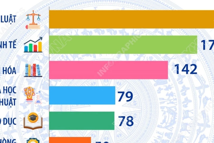 Chuyên môn, nghiệp vụ của 500 người trúng cử đại biểu Quốc hội khóa XVI