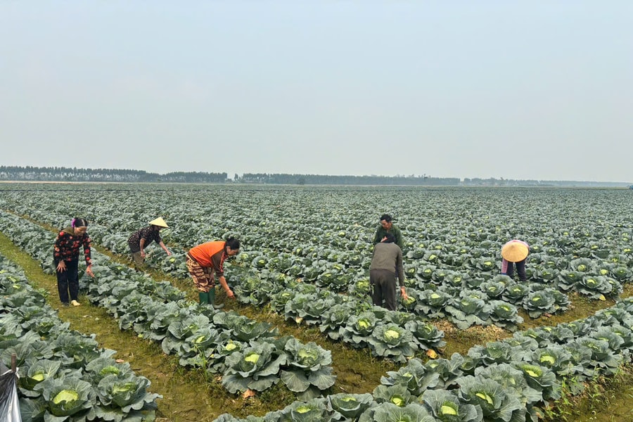Khởi động Giải báo chí toàn quốc về 'tam nông' và thi ảnh 'Nông thôn Việt Nam 40 năm đổi mới'