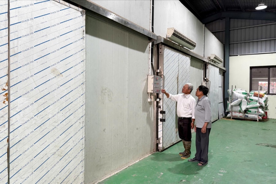 Giải 'cơn khát' vốn tín dụng cho hợp tác xã