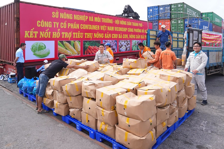 Cần giải quyết tận gốc bài toán cung - cầu nông sản
