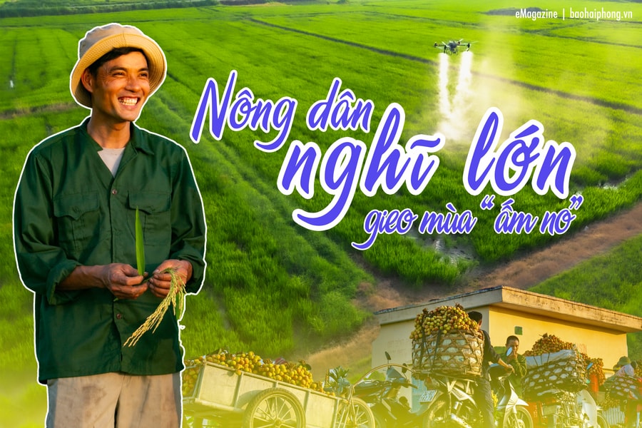 Nông dân nghĩ lớn, gieo mùa ấm no