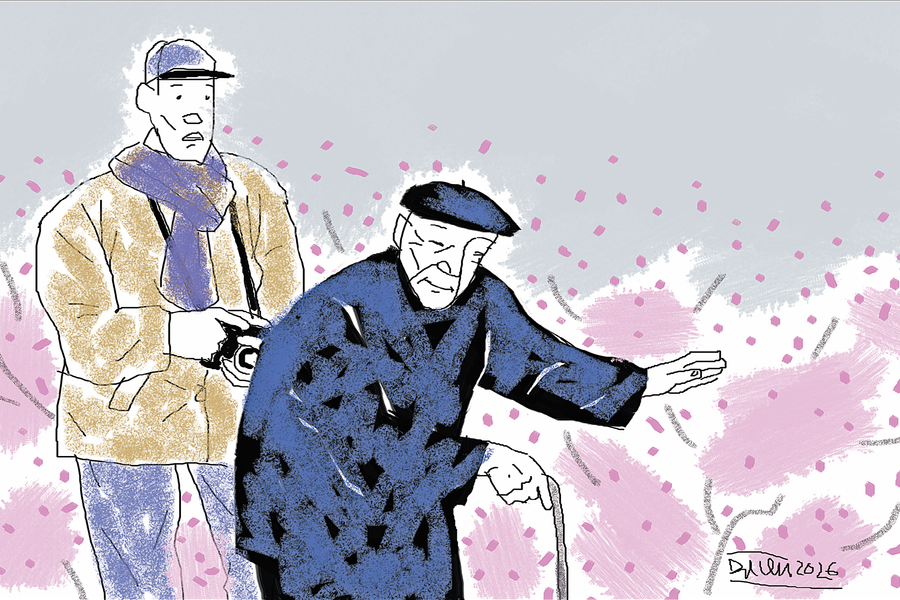 Mùa hoa nở trên núi