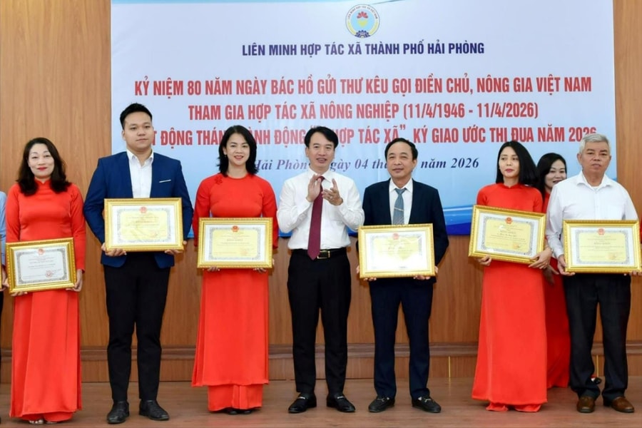 Khu vực kinh tế tập thể lấy thành viên làm trung tâm, hiệu quả làm thước đo