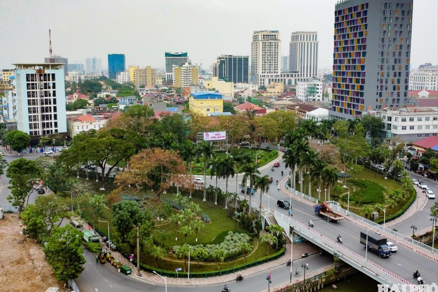'Rừng' xà cừ Tây Ấn giữa trung tâm thành phố