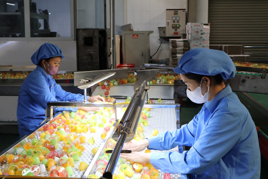 Haiphong’s Industrial Production Index Rises 14.88% in Q1