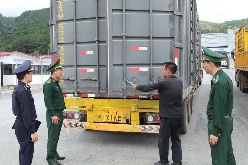 Hải quan phát hiện gần 8.900 vụ buôn lậu vi phạm hơn 8.000 tỷ đồng