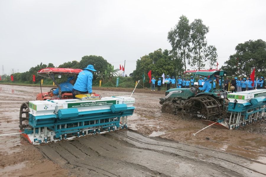 Hải Phòng đã có 3.279 ha lúa phát thải thấp
