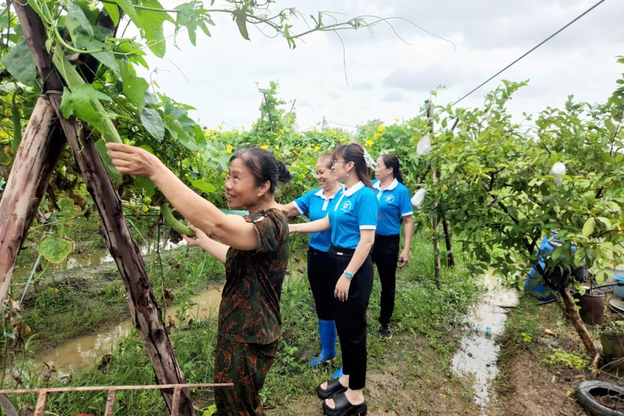 Đề án hỗ trợ phụ nữ phát triển kinh tế chia 2 giai đoạn