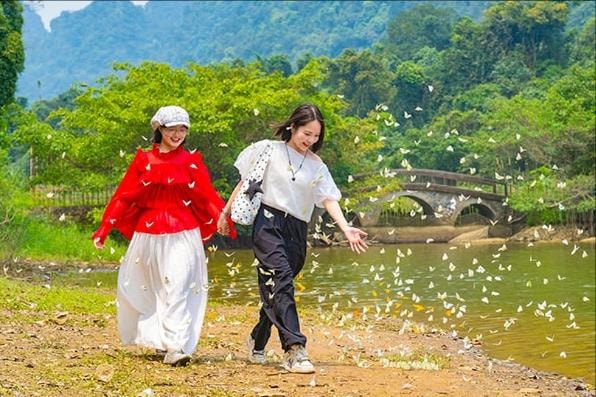 Mùa bướm rực rỡ ở Cúc Phương hút khách trải nghiệm thiên nhiên nguyên sơ