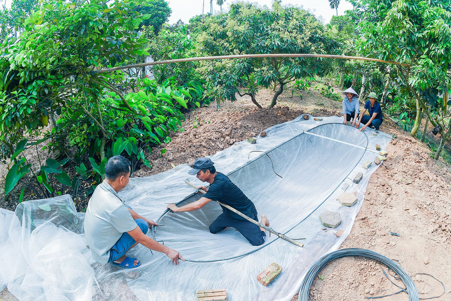 Bộ Nông nghiệp và Môi trường đề xuất cắt giảm mạnh thủ tục hành chính