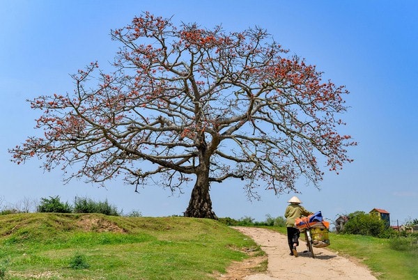Xanh cùng tháng tư