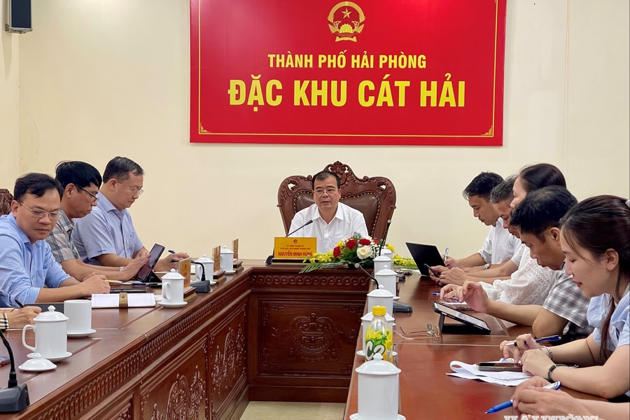 Không đánh đổi hệ sinh thái Cát Bà để lấy tăng trưởng ngắn hạn