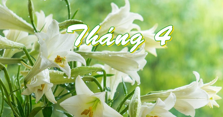 Ai gọi tháng tư về ?