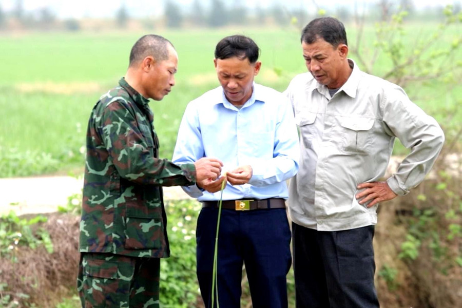 Hành trình gom ruộng, dựng lại sinh kế