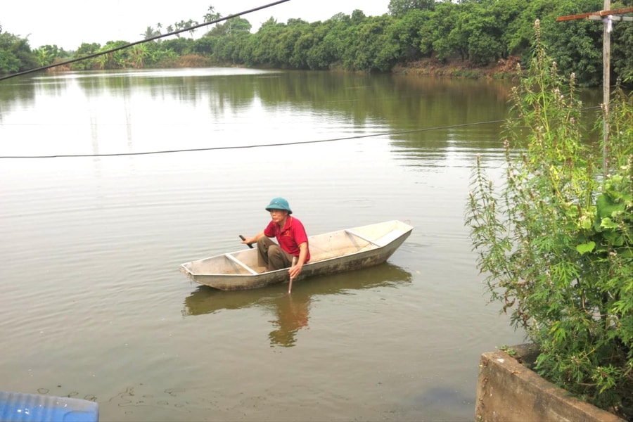 Nông trang Nam Bộ trên đất Bắc