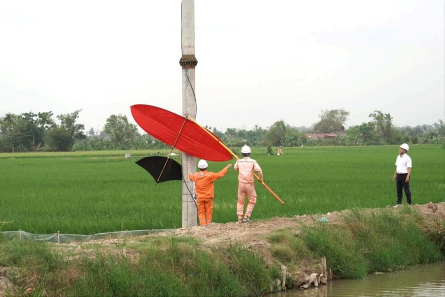 Đừng để cánh diều trở thành hiểm họa