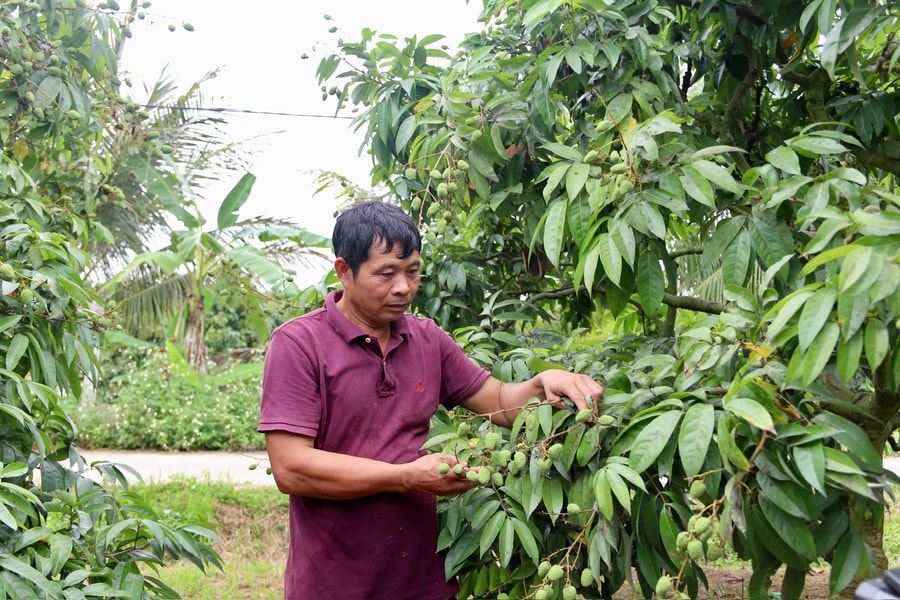'Đánh thức' Đồng Ngành
