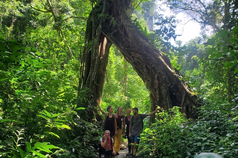 Trekking boosts green tourism in Hai Phong