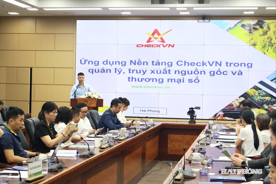 Thúc đẩy nông nghiệp số, kết nối cung cầu công nghệ