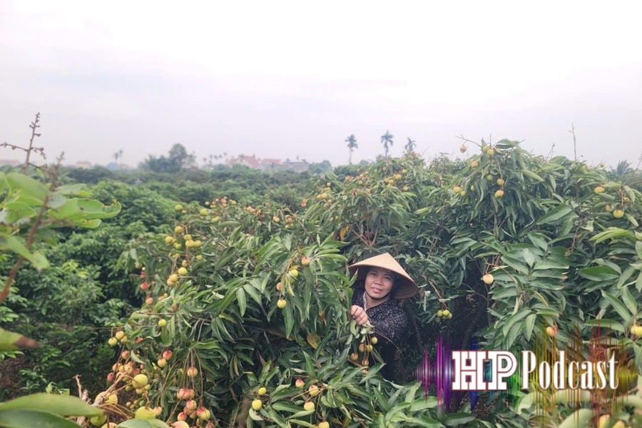 Điểm tin Podcast ngày 19/4
