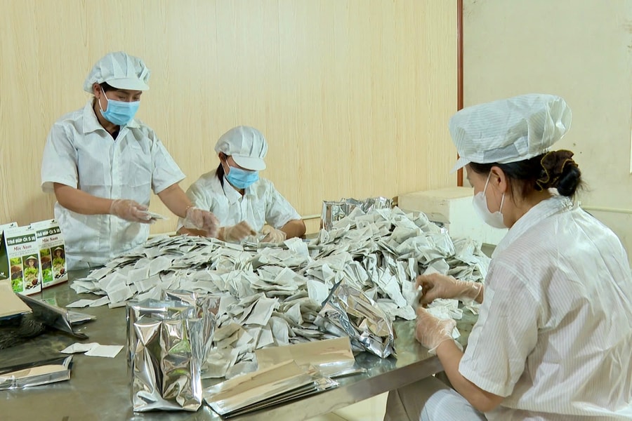 Nâng tầm nông sản địa phương ở Hải Phòng