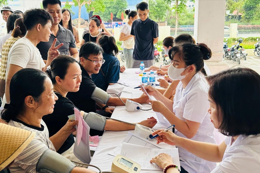 Hải Phòng tăng cường quản lý kinh doanh, quảng cáo dược liệu