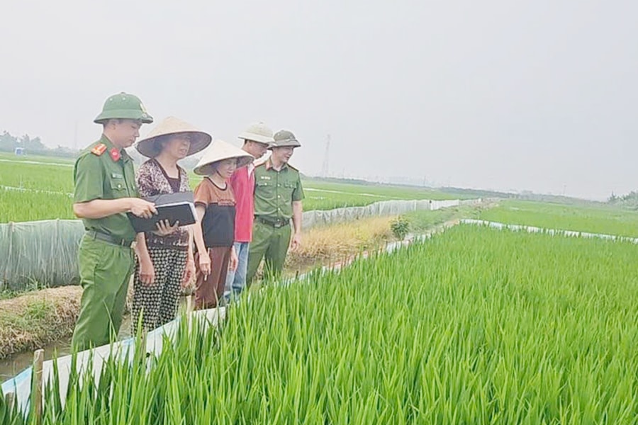 Sử dụng điện bẫy chuột gây chết người có thể bị xử lý hình sự