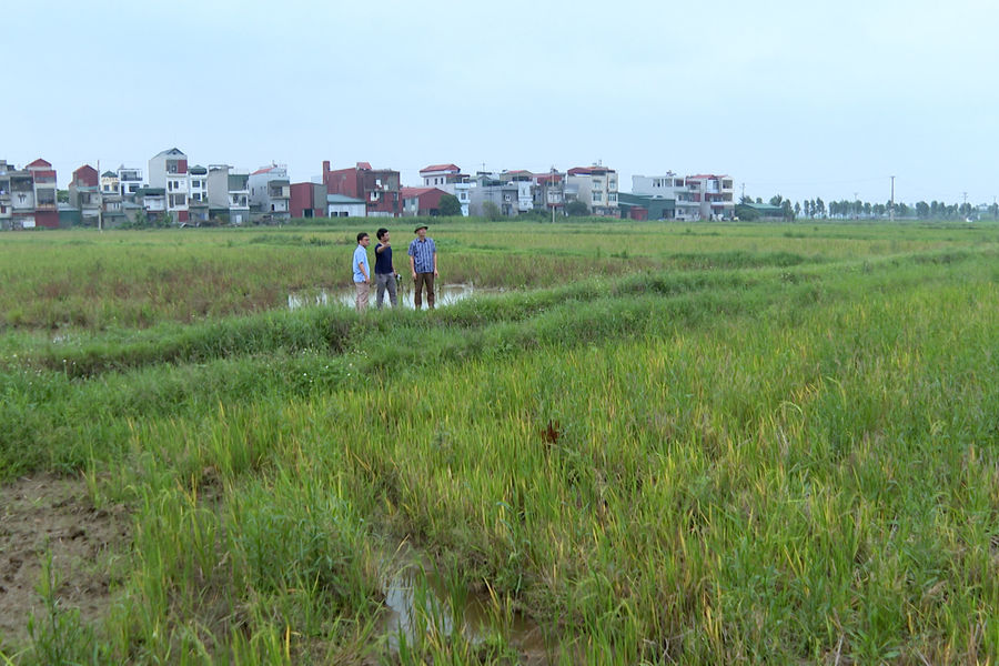 Mặt bằng khu dân cư mới xã Yết Kiêu sẽ xong trong tháng 5