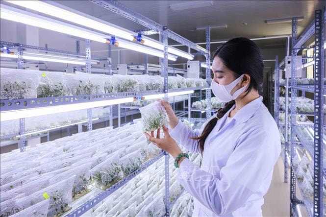 Khoa học công nghệ là động lực chính của mô hình tăng trưởng mới