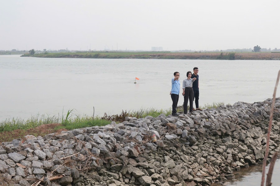 Kè Xạ Sơn trên đê sông Kinh Thầy xung yếu