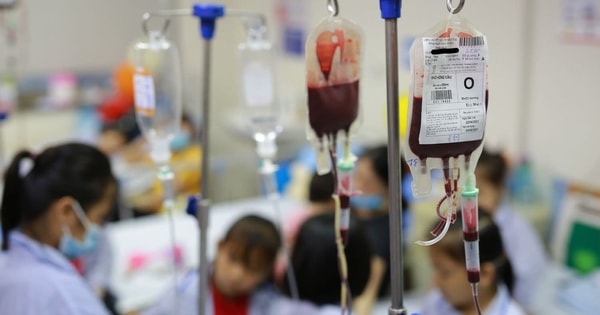 Việt Nam có trên 12 triệu người mang gen bệnh tan máu bẩm sinh Thalassemia